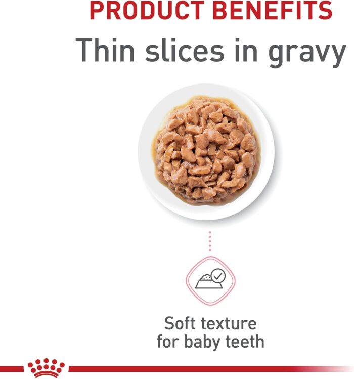 Royal Canin Feline Health Nutrition Kitten Thin Slices in Gravy Canned Cat Food, 3 oz., Count of 24 - Image 8