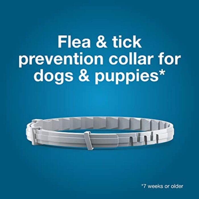 Seresto Large Dog Vet-Recommended Flea & Tick Treatment & Prevention Collar for Dogs Over 18 lbs. | 8 Months Protection - Image 9