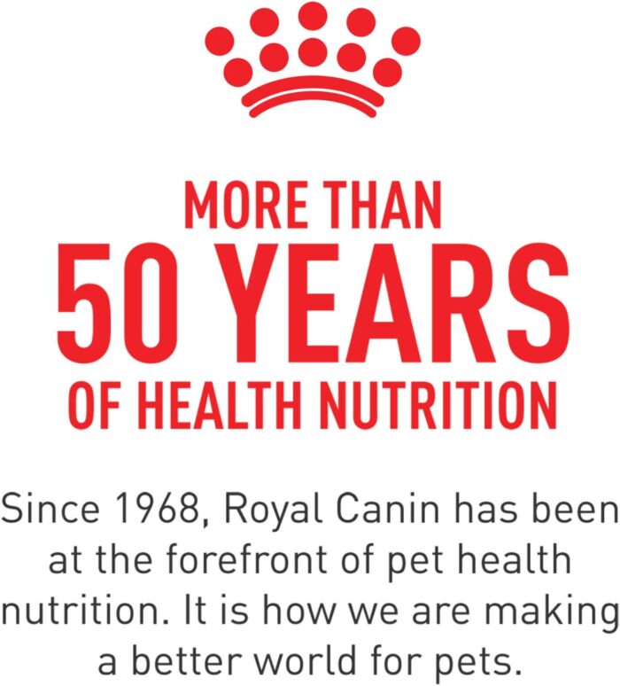 Royal Canin Feline Health Nutrition Kitten Thin Slices in Gravy Canned Cat Food, 3 oz., Count of 24 - Image 7