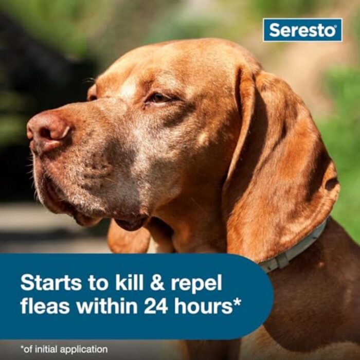 Seresto Large Dog Vet-Recommended Flea & Tick Treatment & Prevention Collar for Dogs Over 18 lbs. | 8 Months Protection - Image 7