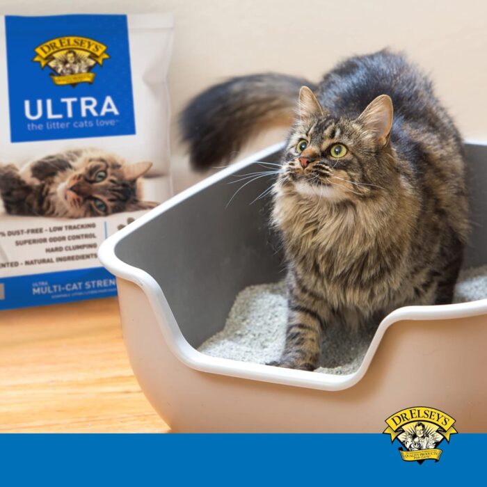 Dr. Elsey's Ultra Premium Clumping Cat Litter, 40 pound bag ( Pack May Vary ) - Image 4