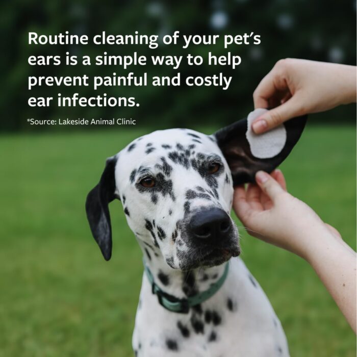 Veterinary Formula Clinical Care Ear Therapy Wipes, 100ct – Cat and Dog Ear Cleaner – Help Relieve Itchy Ears Quickly & Effectively Remove Dirt, Debris, and Foul Odor - Image 7
