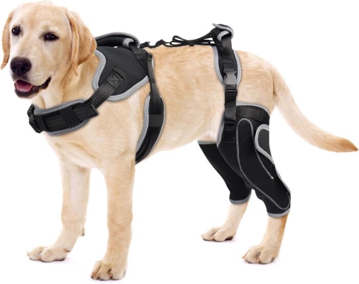 Adjustable Knee Brace for Dogs Back Leg, Hinged Dog Knee Brace for Torn ACL Hind Leg, Dog Knee Brace for Luxating Patella, Dog Brace for Back Leg Support（M）