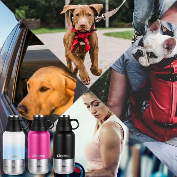 Lapdog Portable Dog Water Bottle & Food Bowls, All-in-One Accessories for Walking, Hiking, Beach- Double Walled, Insulated, Stainless Steel Water Dispenser (Black, Without Neoprene Bag) - Image 3