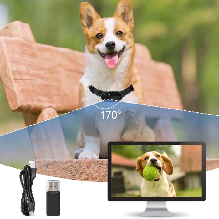 1080p HD Cat Dog Pet Camera Collar Sports Camera Baby Monitor No WiFi Video Record Indoor/Outdoor All Activities Pet Supplies and Monitors Gift, Birthday Gift Black - Image 7