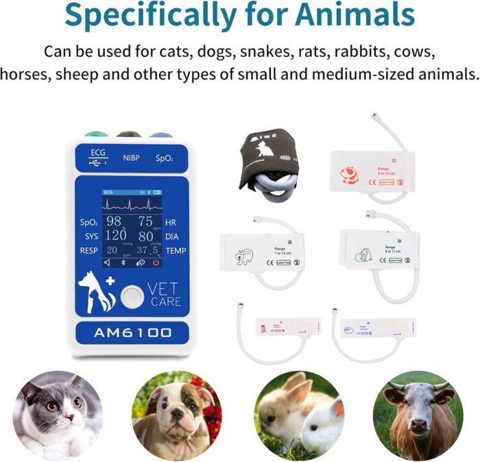 BERRY Veterinary Monitor for Pet,Data storage, analysis, export, Monitoring 6 Parameters for Animal(include Dogs and Cats) as Clinical Equipment - Image 3