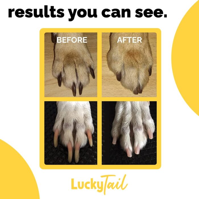 LuckyTail Pet Nail Grinder for Dogs and Cats - Super Quiet and Low Vibration Electric Dog Nail Grinder with 2 LED Lights - USB Rechargeable and Cordless - 2 Speeds - Small to Large Pets - Image 7