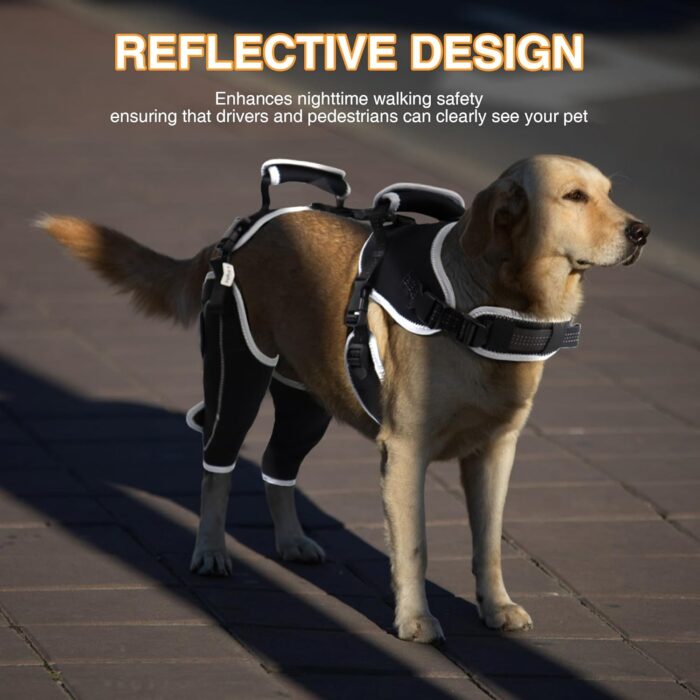 Adjustable Knee Brace for Dogs Back Leg, Hinged Dog Knee Brace for Torn ACL Hind Leg, Dog Knee Brace for Luxating Patella, Dog Brace for Back Leg Support（M） - Image 6
