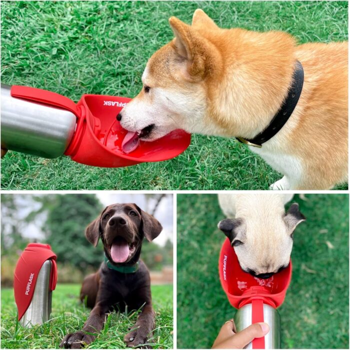 PupFlask Large Dog Water Bottle | 27 or 40 OZ Stainless Steel | Convenient Dog Drink Dispenser | Puppy Travel Water Bowl | Portable Pet Hydration Bottle | Leak Proof | Perfect Size For All Breeds - Image 7