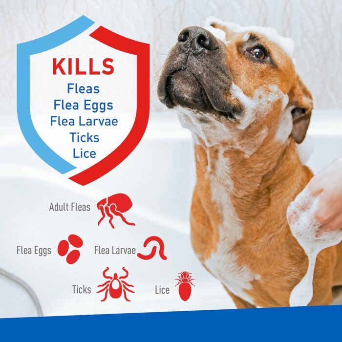 Plus Flea & Tick Shampoo with Precor for Cats, Kittens, Dogs & Puppies Over 12 Weeks Of Age Sensitive Skin Flea Treatment | Kills Adult Fleas, Flea Eggs, Ticks, and Lice| 12 Ounces - Image 8