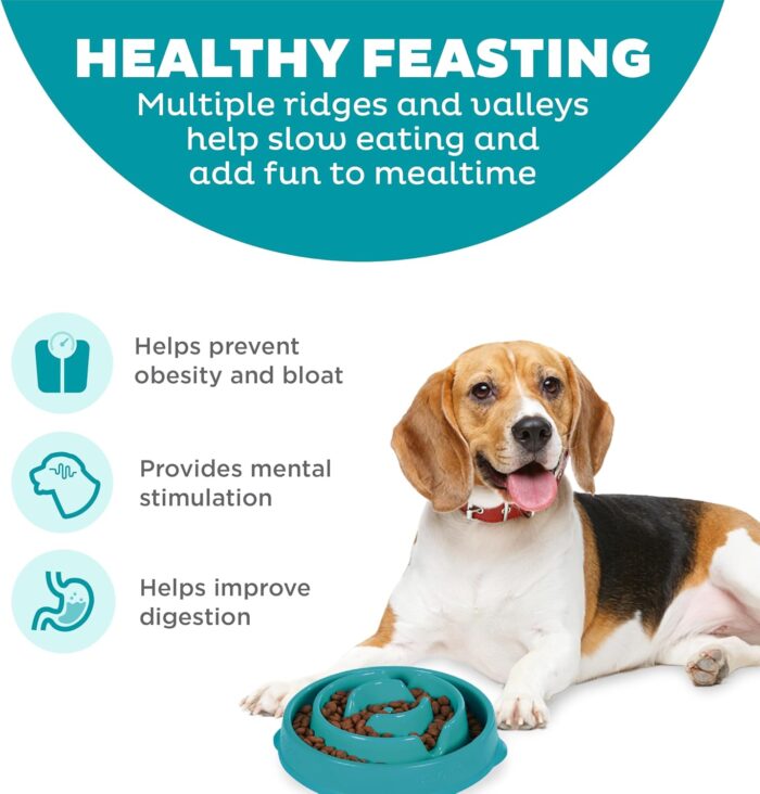Outward Hound Fun Feeder Slo Bowl, Slow Feeder Dog Bowl, Medium/Mini, Turquoise - Image 5