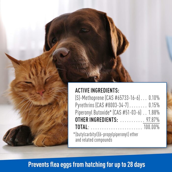 Plus Flea & Tick Shampoo with Precor for Cats, Kittens, Dogs & Puppies Over 12 Weeks Of Age Sensitive Skin Flea Treatment | Kills Adult Fleas, Flea Eggs, Ticks, and Lice| 12 Ounces - Image 5