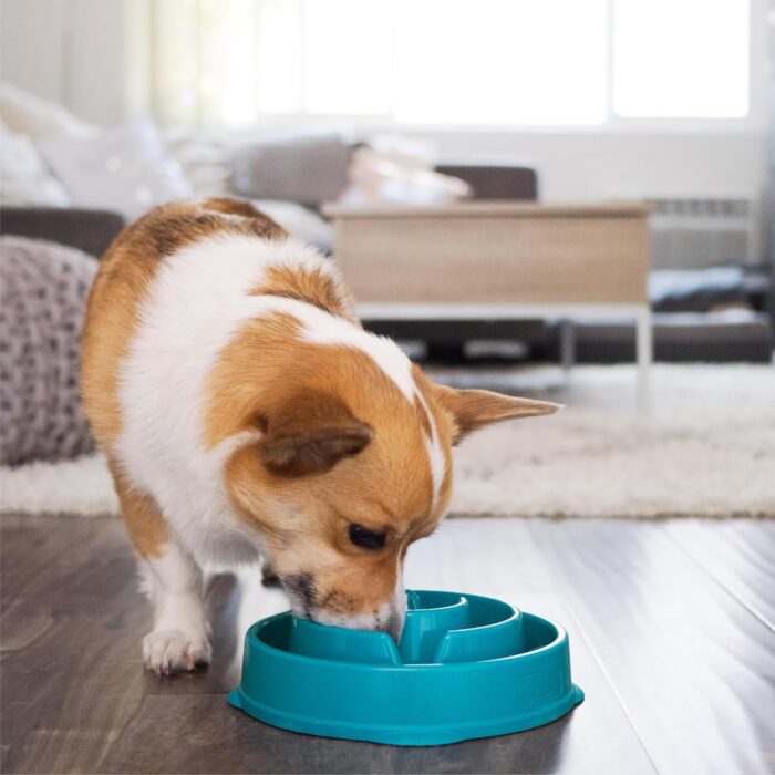 Outward Hound Fun Feeder Slo Bowl, Slow Feeder Dog Bowl, Medium/Mini, Turquoise - Image 3