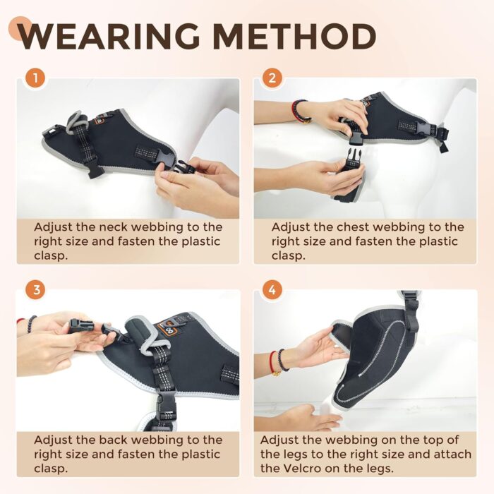 Adjustable Knee Brace for Dogs Back Leg, Hinged Dog Knee Brace for Torn ACL Hind Leg, Dog Knee Brace for Luxating Patella, Dog Brace for Back Leg Support（M） - Image 5