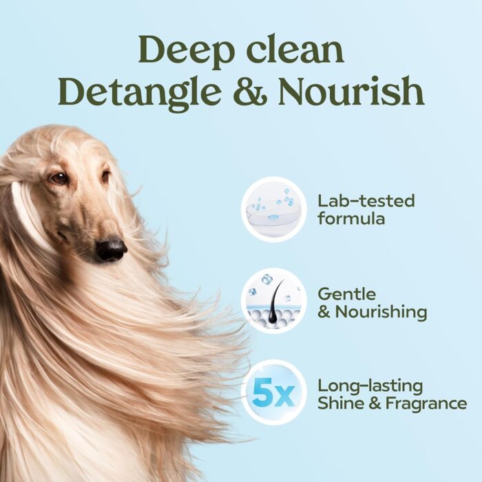 Pawfume Dog Shampoo and Conditioner – Hypoallergenic Dog Shampoo for Smelly Dogs – Best Dog Shampoos & Conditioners – Probiotic Pet Shampoo for Dogs – Best Dog Shampoo for Puppies (Blue Ribbon) - Image 5