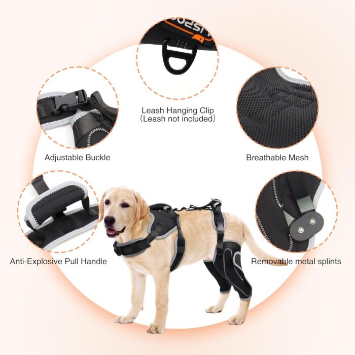 Adjustable Knee Brace for Dogs Back Leg, Hinged Dog Knee Brace for Torn ACL Hind Leg, Dog Knee Brace for Luxating Patella, Dog Brace for Back Leg Support（M） - Image 4