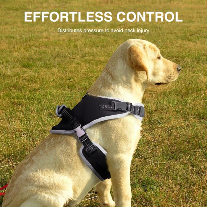Adjustable Knee Brace for Dogs Back Leg, Hinged Dog Knee Brace for Torn ACL Hind Leg, Dog Knee Brace for Luxating Patella, Dog Brace for Back Leg Support（M） - Image 3