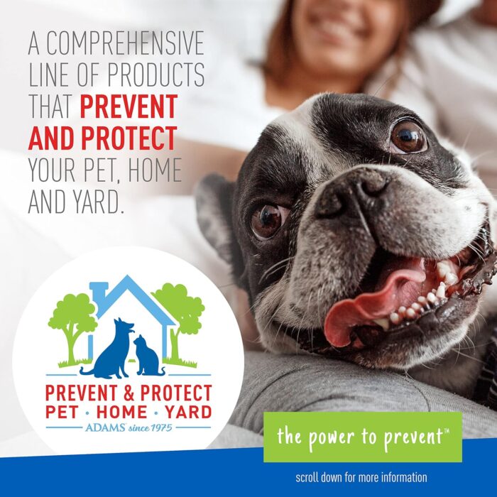 Plus Flea & Tick Shampoo with Precor for Cats, Kittens, Dogs & Puppies Over 12 Weeks Of Age Sensitive Skin Flea Treatment | Kills Adult Fleas, Flea Eggs, Ticks, and Lice| 12 Ounces - Image 3
