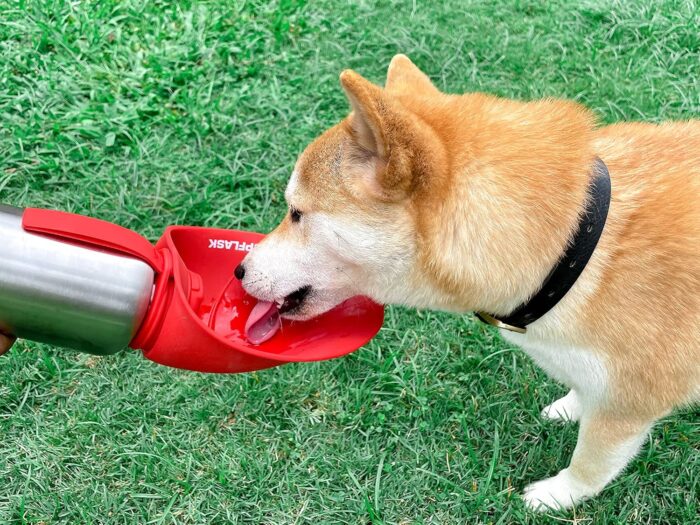 PupFlask Large Dog Water Bottle | 27 or 40 OZ Stainless Steel | Convenient Dog Drink Dispenser | Puppy Travel Water Bowl | Portable Pet Hydration Bottle | Leak Proof | Perfect Size For All Breeds - Image 4