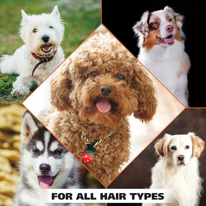 Wahl USA Dry Skin & Itch Relief Pet Shampoo for Dogs – Oatmeal Formula with Coconut Lime Verbena & Pet Friendly Formula, 24 Oz - Model 820004A - Image 2