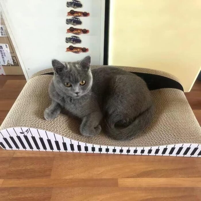 DEKU Premium Corrugated Cat Scratching Pads, Recyclable Durable Sofa Scratchers & Lounger - Interactive Play for Indoor Cats (Piano-24in) - Image 6