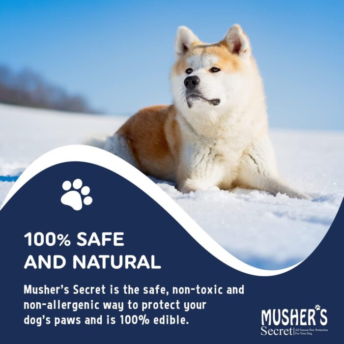 Musher's Secret Dog Paw Wax 60 g (2.1 oz) - Moisturizing Dog Paw Balm that Creates an Invisible Barrier That Protects and Heals Dry Cracked Paws - All-Natural with Vitamin E and Food-Grade Ingredients - Image 9