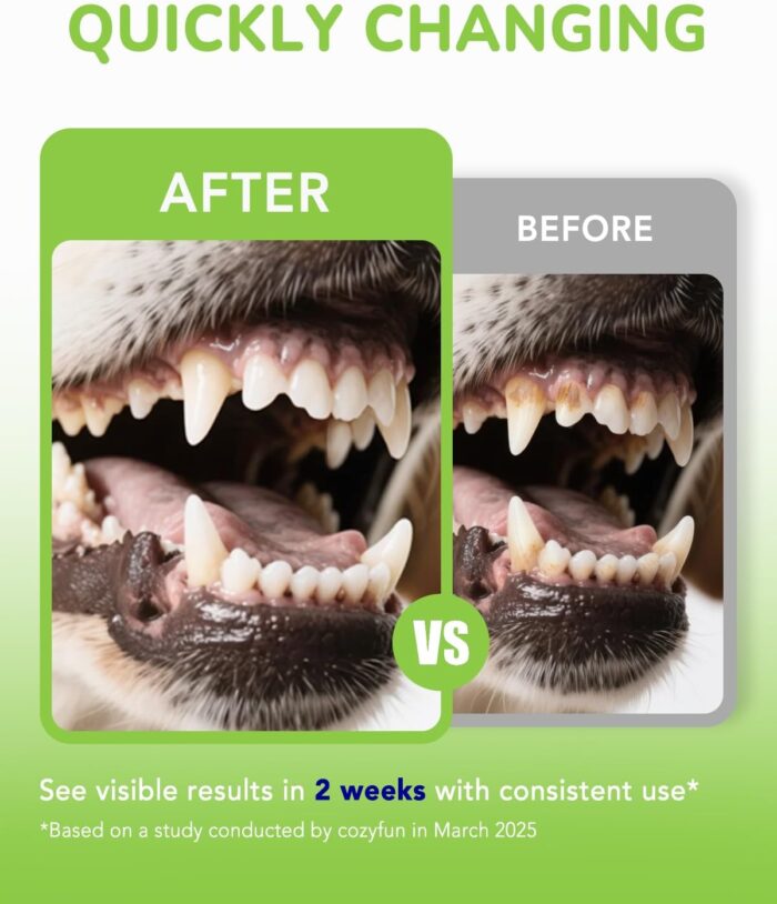 Dog Dental Powder - Dogs Teeth Cleaning Powder, Plaque and Tartar Remover in 7-14 Days, Dog Breath Freshener - All Natural Ingredient Dogs Dental Care Supply - Image 6