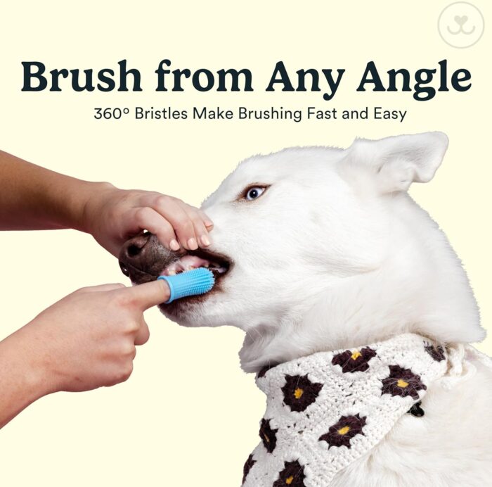 Jasper Dog Toothbrush, 360 Dog Tooth Brushing Kit, Finger Toothbrush, Cat Tooth Brush, Teeth Cleaning, Pet Tooth Brush for Small & Large Pets, Pet Toothpaste Not Included, 2-Pack Blue - Image 4