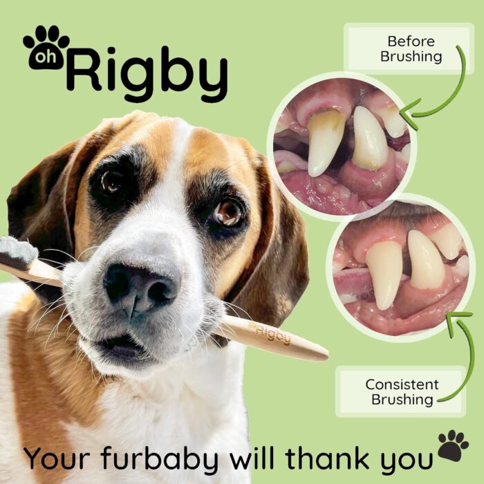 Dog Toothbrush- 10,000 Ultra-Soft Bristles for Sensitive Pet Teeth & Gums- Natural Bamboo Toothbrush for Comfortable, Gentle Deep Cleaning - Image 4