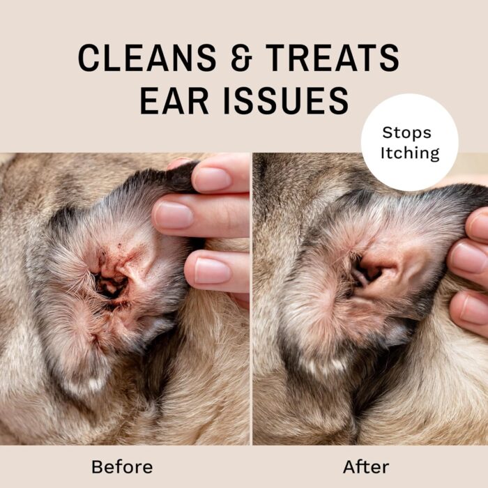 Eye Envy Fresh Ear Cleaning Wipes for Dogs. Made in The USA from Natural Ingredients. Unscented. Prevents Infections. Safe and Non-Irritating. Removes Dirt, Debris, and Wax buildup. 60 Count. - Image 2