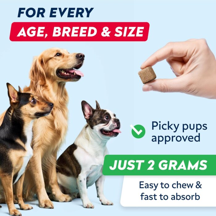 STRELLALAB Dog Pee Grass Helper - Dog Urine Neutralizer for Grass Burn Spots - Grass Treatment for Dog Urine - Dog Pee Lawn Repair Treats with Probiotics - Made in USA - 120 Chews - Image 5