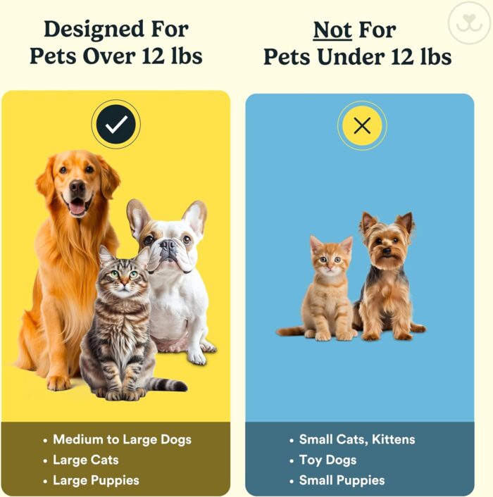 Jasper Dog Toothbrush, 360 Dog Tooth Brushing Kit, Finger Toothbrush, Cat Tooth Brush, Teeth Cleaning, Pet Tooth Brush for Small & Large Pets, Pet Toothpaste Not Included, 2-Pack Blue - Image 8