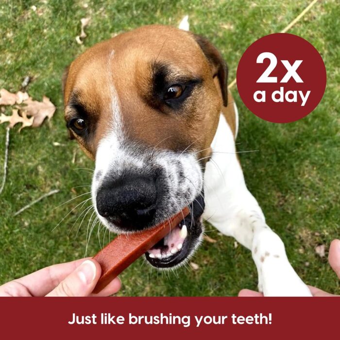 Ark Naturals Protection+ Brushless Toothpaste, Dog Dental Chews for Large Breeds, Prevents Plaque & Tartar, Freshens Breath, 54oz, 1 Pack, Red, 54 Ounce (Pack of 1)Brand	ARK NATURALS Flavor	Large Breed Age Range (Description)	Adult Item Form	Paste Material Type Free	Soy Free, Wheat Free, Corn Free - Image 3