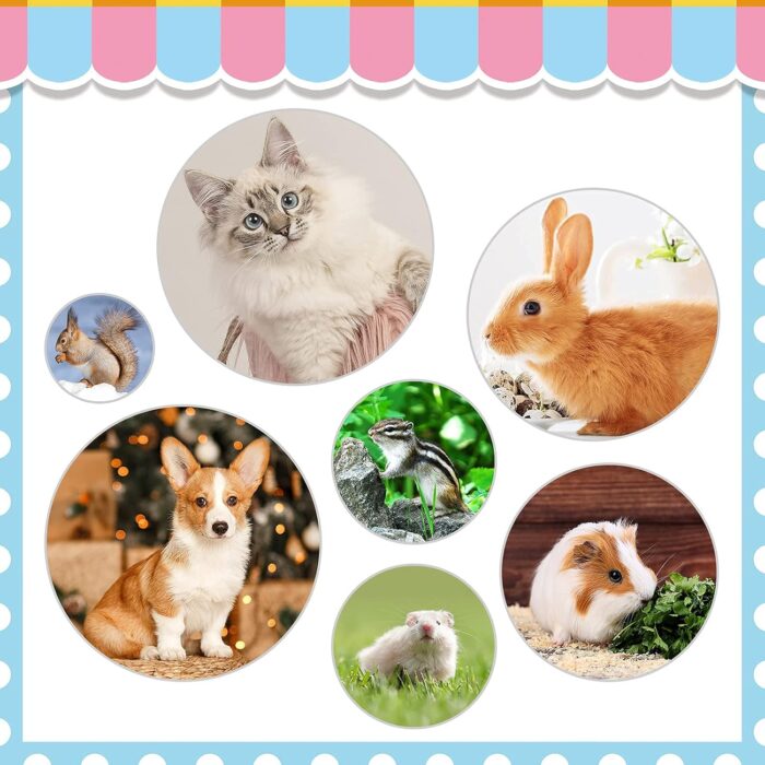 Rabbit Grooming Kit, Rabbit Brush for Shedding with Bunny Nail Clipper, Rabbit Nail Trimmers with Pet Combs for Hamster Guinea Pig Ferret by KALAMANDA(6 Pack) - Image 4