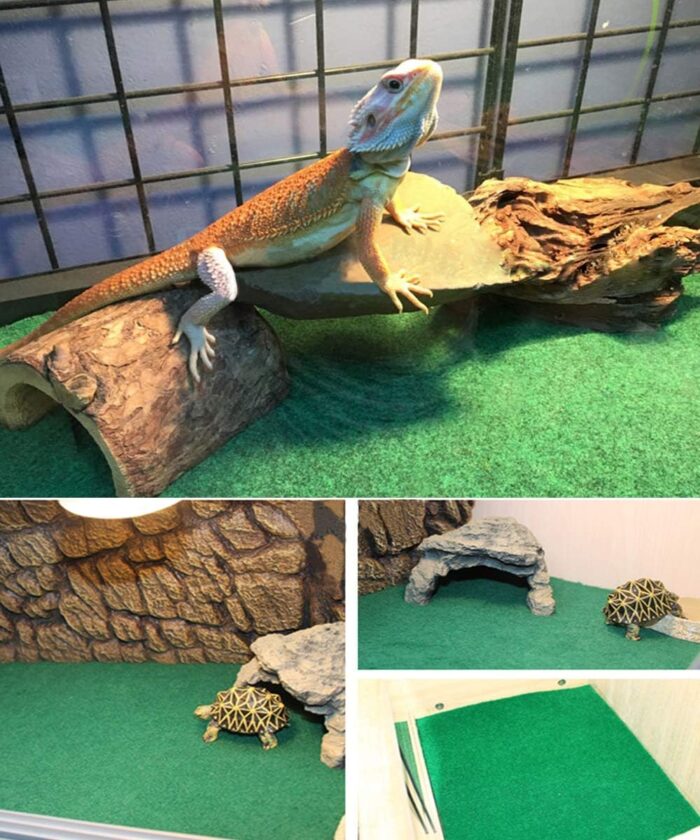 HERCOCCI 2 Pack Reptile Carpet, 39’’ x 20’’ Terrarium Bedding Substrate Liner Reptile Cage Mat Tank Accessories for Bearded Dragon Lizard Tortoise Leopard Gecko Snake (Green) - Image 5