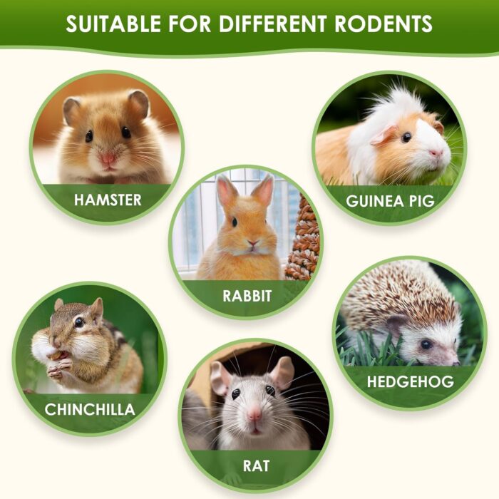 40PCS Rabbit Toys For Bunnies Boredom Basket for Small Pets, With 14PCS Replacement Pack Hanging Rodent Dental Toys with Papaya Stems Sweet Bamboo (Hamsters, Rabbits, Chinchillas, Guinea Pigs) - Image 7
