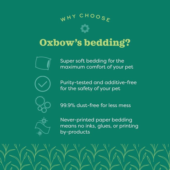 Oxbow Animal Health Pure Comfort Bedding, Rabbit, Hamster, & Guinea Pig Bedding, Bunny Supplies for Litter Box, Pet Safe, 99.9% Dust-Free, White Paper, 72 Liter Bag - Image 7