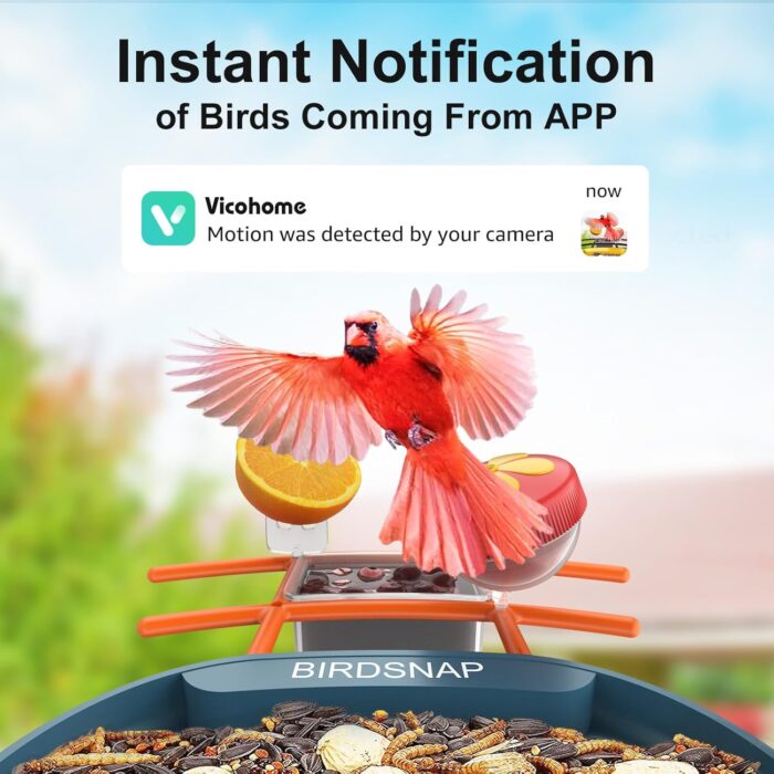 birdsnap® PAV- Smart Bird Feeder with Camera Solar Powered, 64GB Card & 2K HD Record Video Bird Camera Live with 5 DIY Add-ons, AI Identify Auto Capture, Ideal Gift for Birds Lover - Image 8