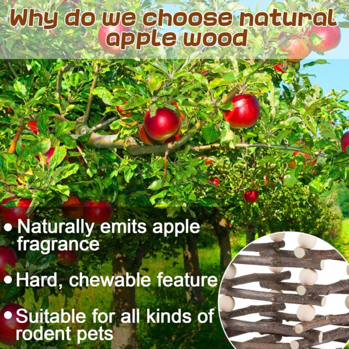 Hanging Apple Wood Rabbit Hay Feeder - Guinea Pig Grass Holder with 2 Hooks Biting Resistant Small Animals Chew Toy, Feeding Hay Manager Shelf for Chinchilla Bunny Hamster Gerbil Holiday Presents - Image 5