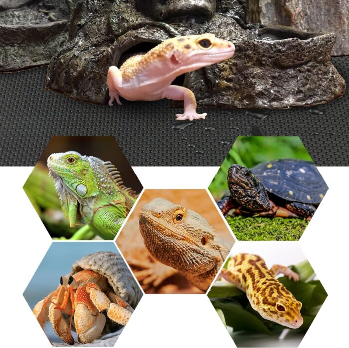 Bearded Dragon Tank Accessories, Reptile Terrarium Carpet Substrate for Leopard Gecko, Lizard, Iguana, Snake, Tortoise, Non-Adhesive Reptile Habitat Bedding(Black 79inch) - Image 4