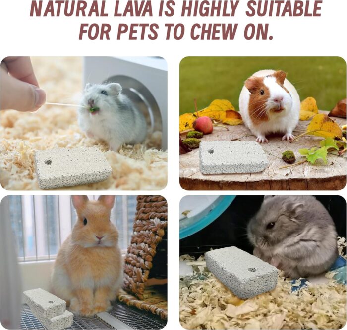 18 Pcs Small Animal Pet Lava Bites Chews Toy Mineral Calcium Stone Bunny Teeth Grinding Block for Hamster Chinchilla Rabbit Squirrel Rat Parrot Guinea Pig - Image 3