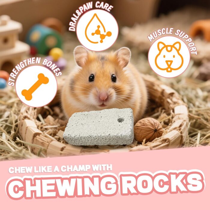 18 Pcs Small Animal Pet Lava Bites Chews Toy Mineral Calcium Stone Bunny Teeth Grinding Block for Hamster Chinchilla Rabbit Squirrel Rat Parrot Guinea Pig - Image 5