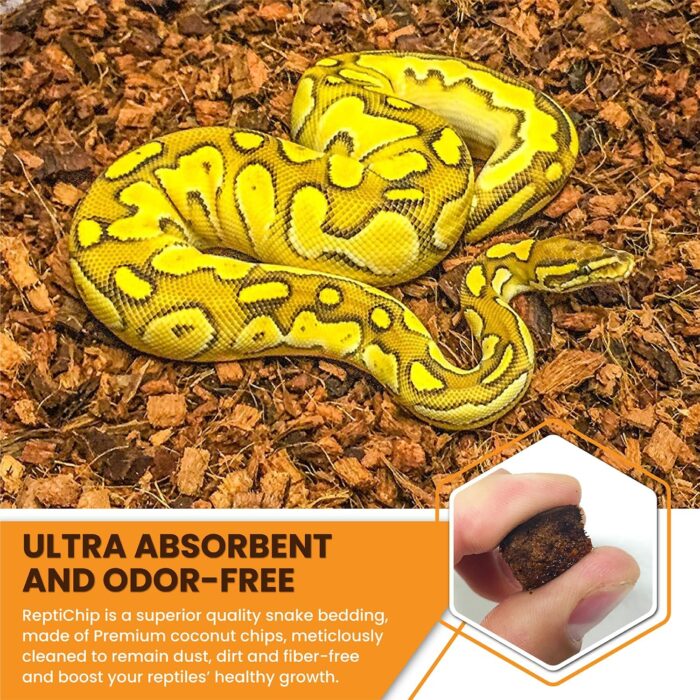 ReptiChip Reptile Substrate Coconut Chip Bedding 72 Quart Compressed Organic Coco Husk Block for Snake Habitat, Ball Python Terrarium, Turtle Tanks, Tortoise Enclosure - Image 4