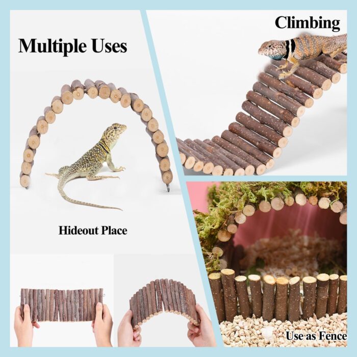 Crested Gecko Tank Accessories，Reptile Vines Plants with Coconut Shell Ladder Hideout Hermit Crab Decor for Bearded Dragon Lizard Chameleon Tortoise Snake - Image 2