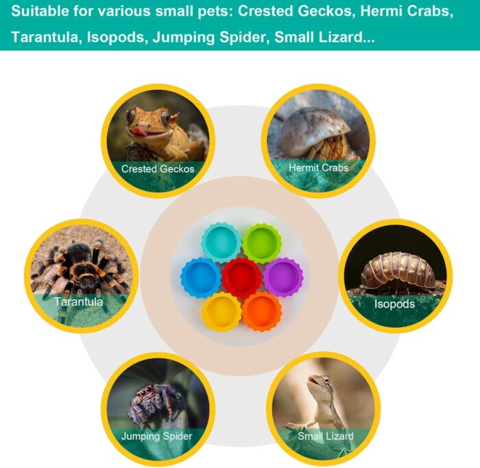 7 Pack Crested Gecko Food and Water Bowl, Eudimysx Reusable Small Reptile Feeding Dish, Gecko Tank Accessories for Hermit Crab, Tarantula, Isopods and Lizard, Silicone Easy Clean & 7 Colors - Image 5