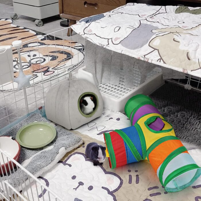 Rypet Guinea Pig Tunnel 3 Way Collapsible Small Pet Tunnels and Tubes with Interactive Ball for Baby Rabbit Ferret Hamster Chinchilla Hedgehog Hiding and Resting - Image 6
