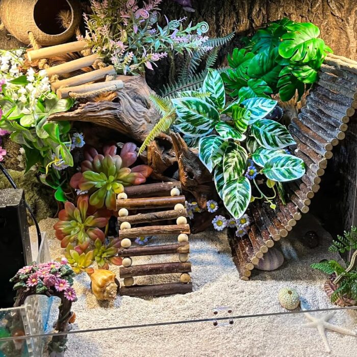 Crested Gecko Tank Accessories，Reptile Vines Plants with Coconut Shell Ladder Hideout Hermit Crab Decor for Bearded Dragon Lizard Chameleon Tortoise Snake - Image 4